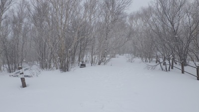 中尾根ルートとの分岐