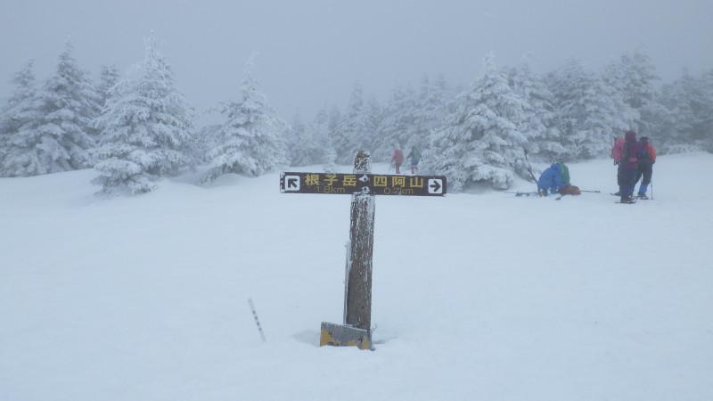 山頂直下の分岐