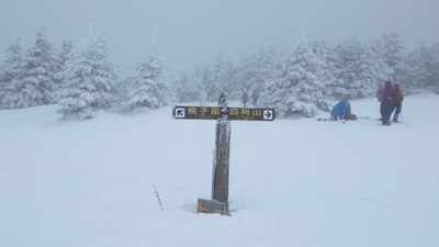 山頂直下の分岐