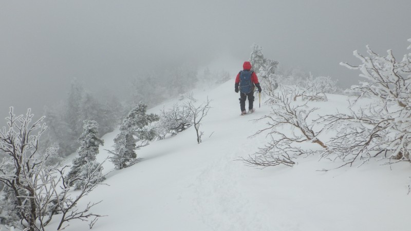 山頂からの下り