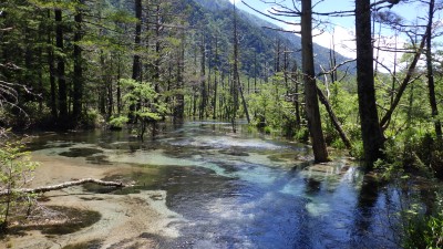 木道を上高地に向かって進む