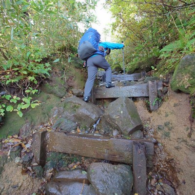 分岐を過ぎるといきなり急登