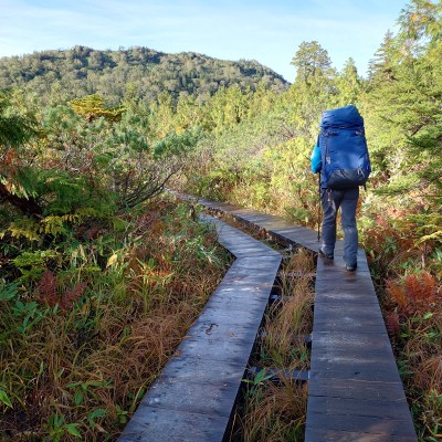 急登が終わり開けて来る