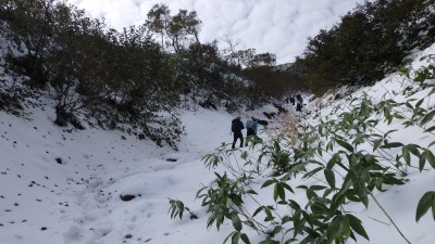 この先も雪が続く