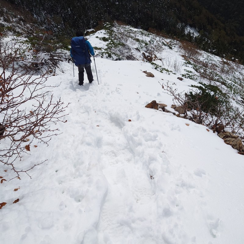 どんどん下りる