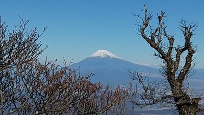 山頂周辺からの富士山