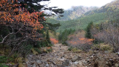 小屋まであと少し