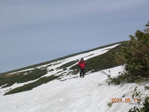 ブッシュを回り込む