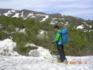 ブッシュ出まくり