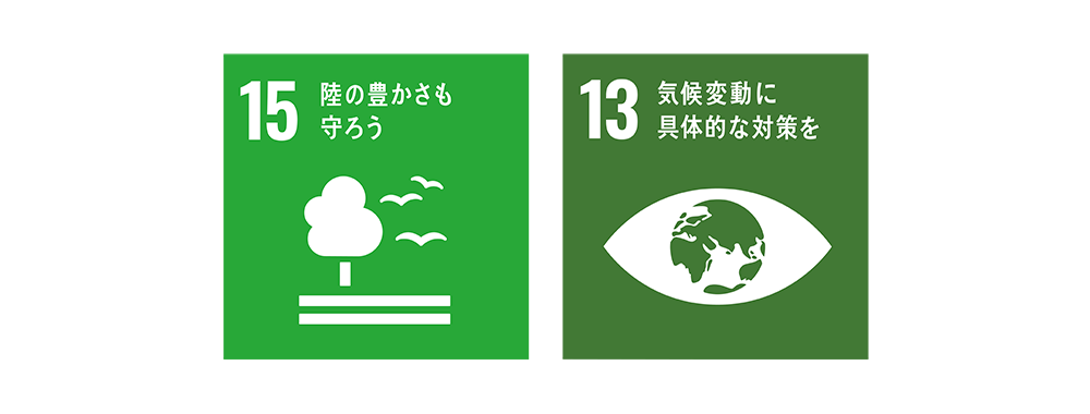 15 陸の豊かさも守ろう　13 気候変動に具体的な対策を