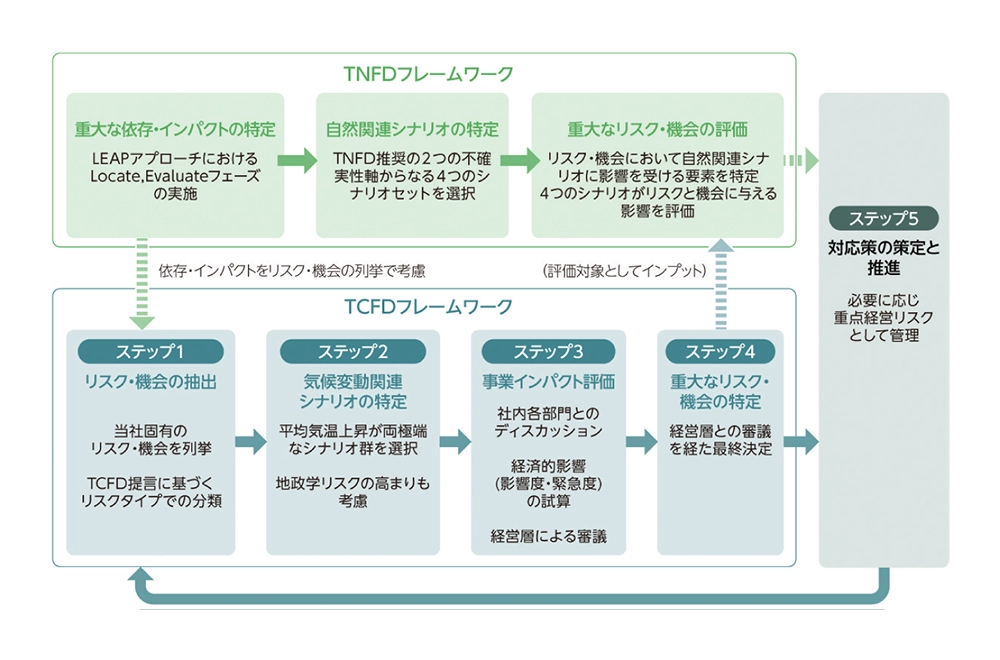 TCFD/TNFDフレームワークに基づいたシナリオ分析の実施プロセスの図