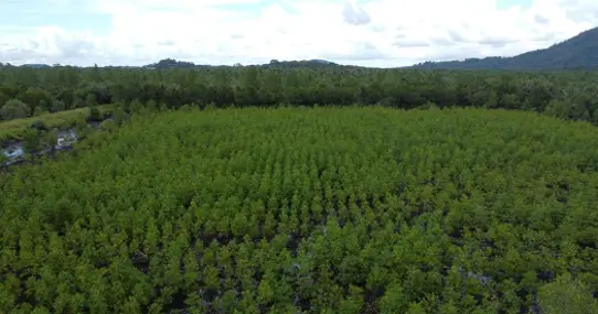 後述の内容を表した図