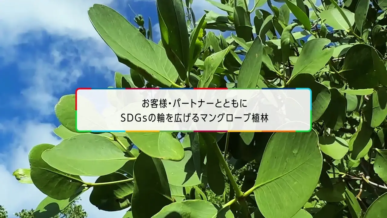 後述の内容を表した図