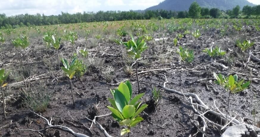 後述の内容を表した図