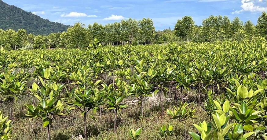 後述の内容を表した図