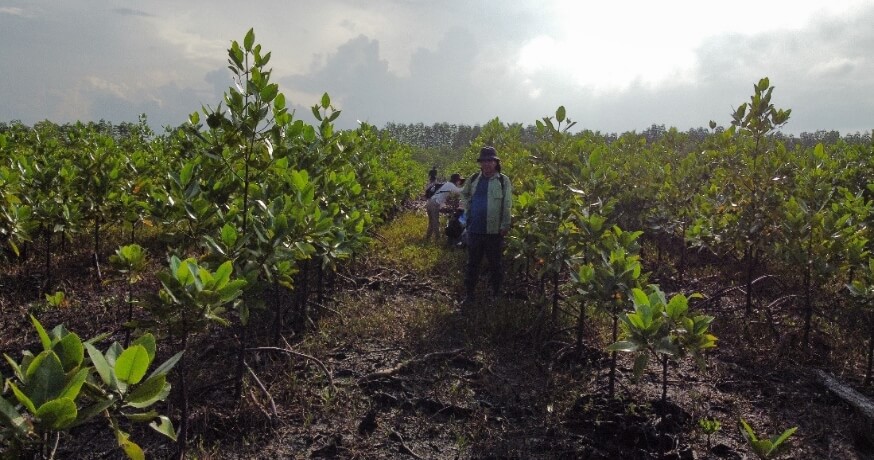 後述の内容を表した図