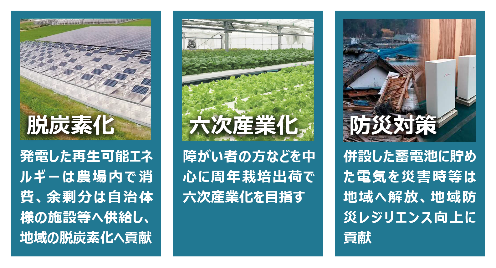特長1「脱炭素化」発電した再生可能エネルギーは農場内で消費、余剰分は自治体様の施設等へ供給し、地域の脱炭素化へ貢献します。特長2「六次産業化」障がい者の方などを中心に周年栽培出荷で六次産業化を目指すします。特長3「防災対策」併設した蓄電池に貯めた電気を災害時等は地域へ開放、地域防災レジリエンス向上に貢献します。