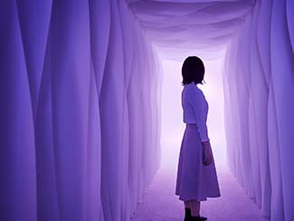 画像:新卒・キャリア採用