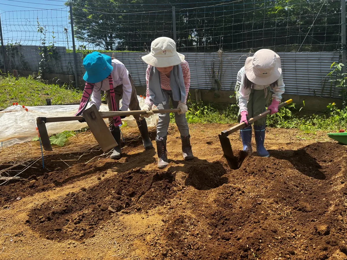 画像：市村自然塾 関東での活動の様子
