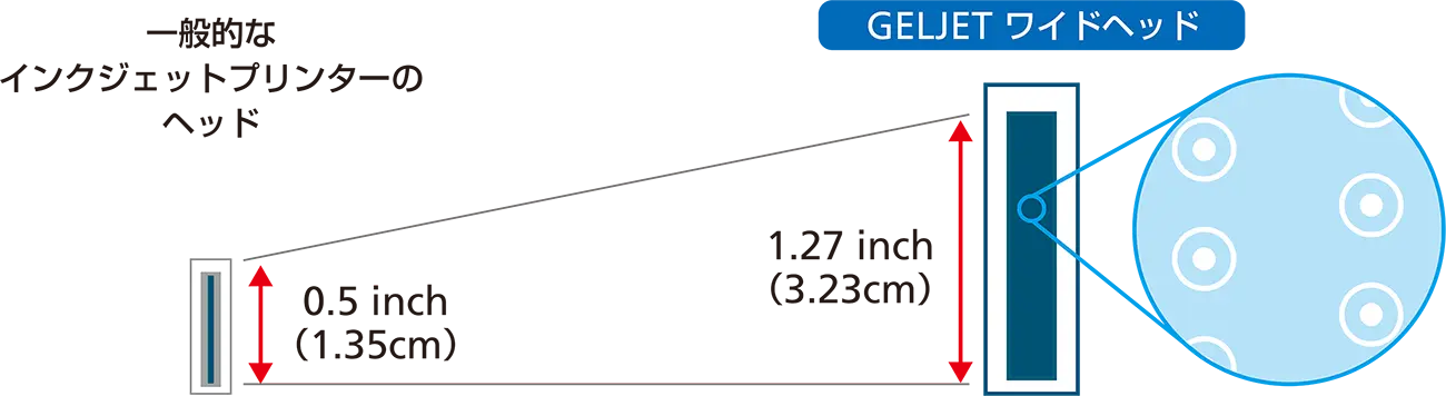 一般的なインクジェットプリンターのヘッドは0.5インチ（約1.35cm）