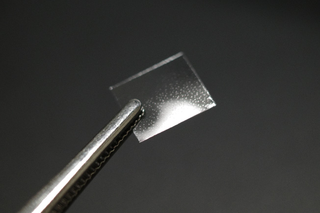 図5：フィルター試作品